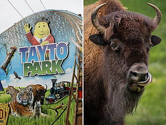 Tayto Park Has A New Name...An...